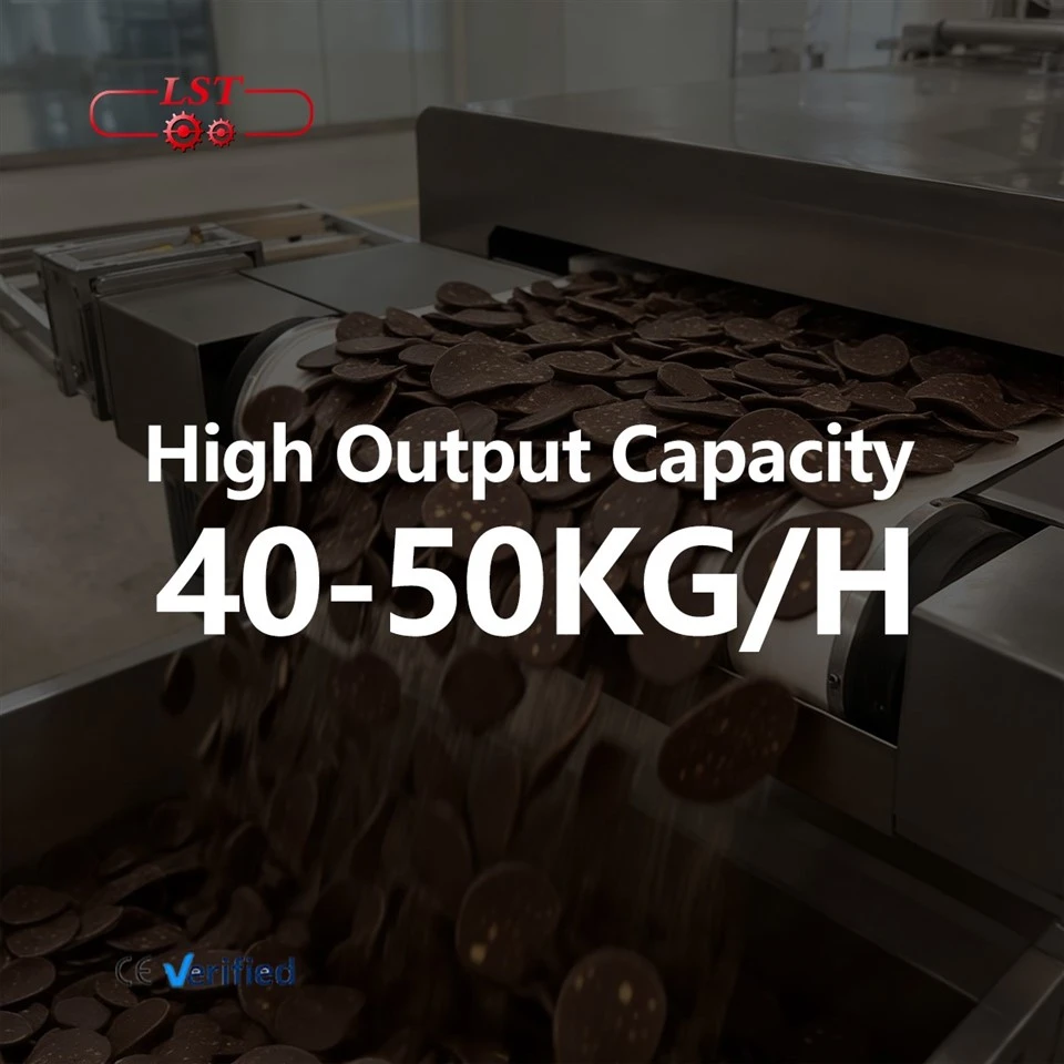 LST Chocolate Chips Production Line: High-Efficiency, Food-Grade Manufacturing Solution best
